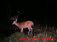 MDGC0827