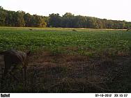 PICT0045