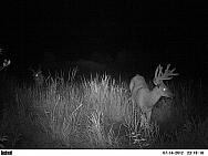 PICT0062