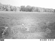 PICT0084