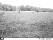 PICT0206-001