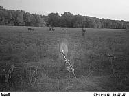 PICT0207-001