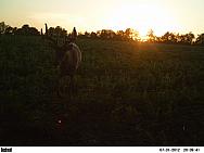 PICT0465