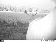 PICT0477
