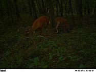 PICT0740