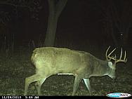 CDY 0010