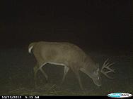 CDY 0016