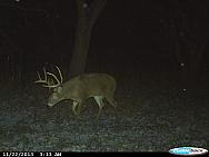 CDY 0021