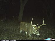 CDY 0042