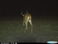 CDY 0200