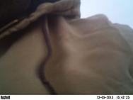 PICT0001