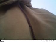 PICT0002