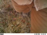 PICT0003