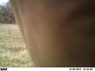 PICT0007