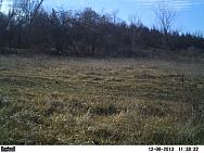 PICT0054