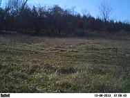 PICT0065