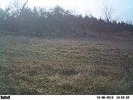 PICT0076