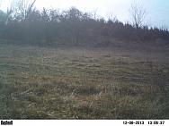 PICT0079