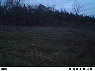 PICT0090-001