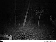 PICT0117