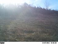 PICT0145