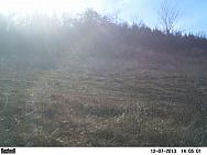 PICT0147