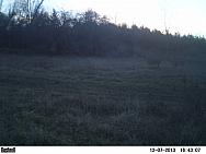 PICT0156-001