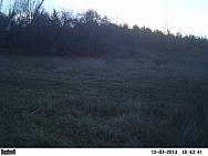 PICT0158