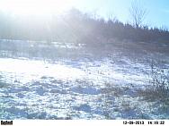 PICT0205-002