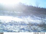 PICT0207-001