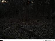 PICT0208