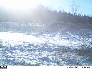 PICT0215