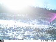 PICT0229