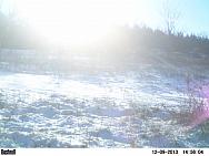 PICT0236