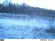 PICT0241