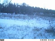PICT0242