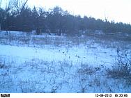 PICT0245