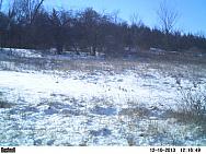 PICT0253