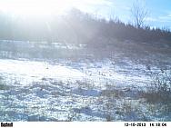 PICT0257