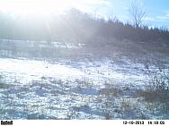 PICT0258