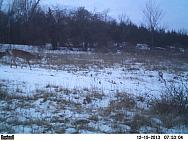 PICT0347
