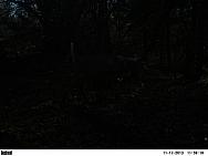 PICT0522-001