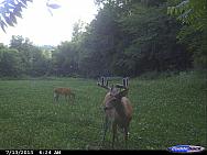 CDY 0005