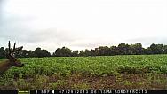 MFDC0249