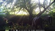 PICT1238