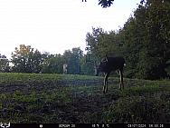 09070234