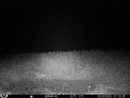 09090491