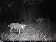 09220390
