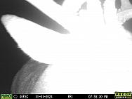 11010632