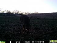 12120030